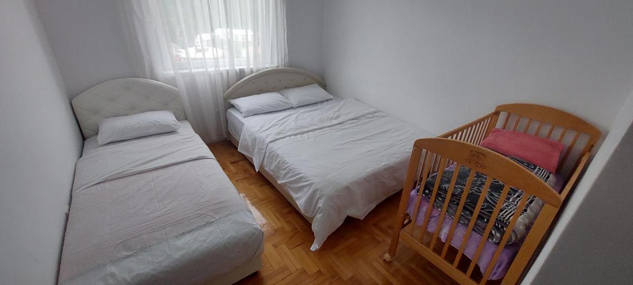 Apartman Bujisic Apartment Pluzine Exterior photo